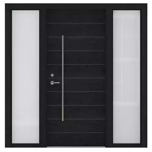 Door-095 modern door with glass panels