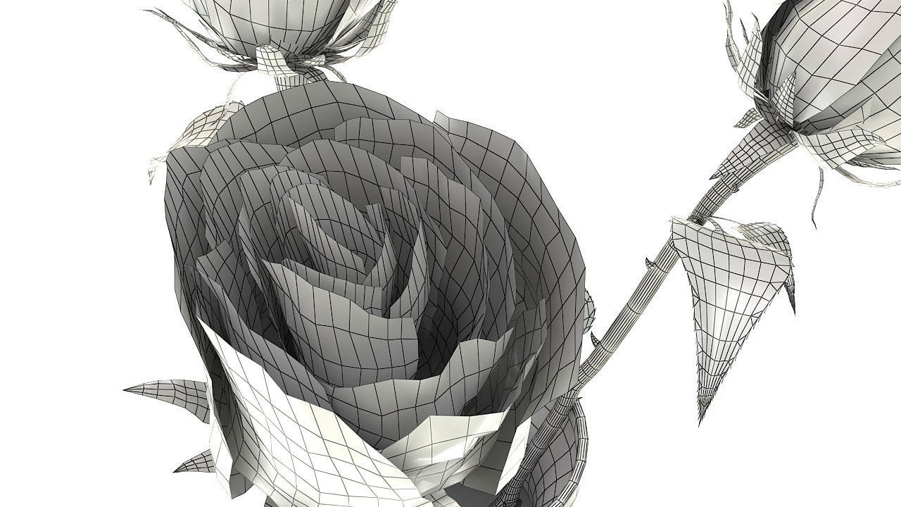 Roses in glass jar 3D model_11