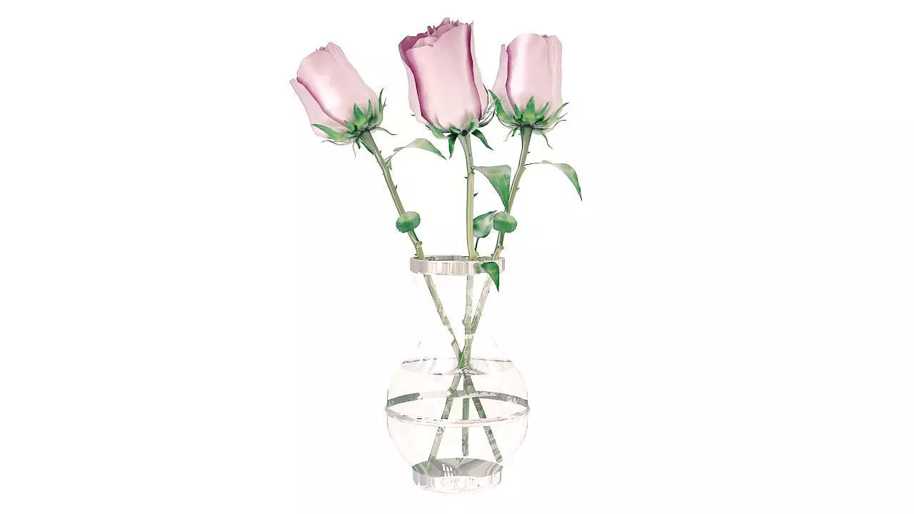 Roses in glass jar 3D model_0