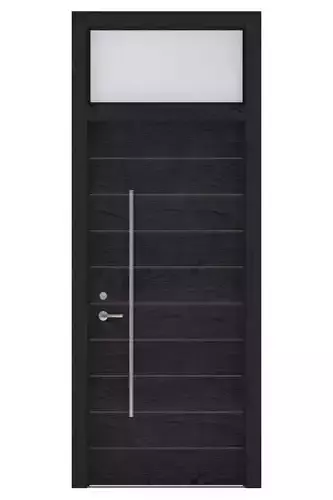 Door-097 modern front door with sidelights