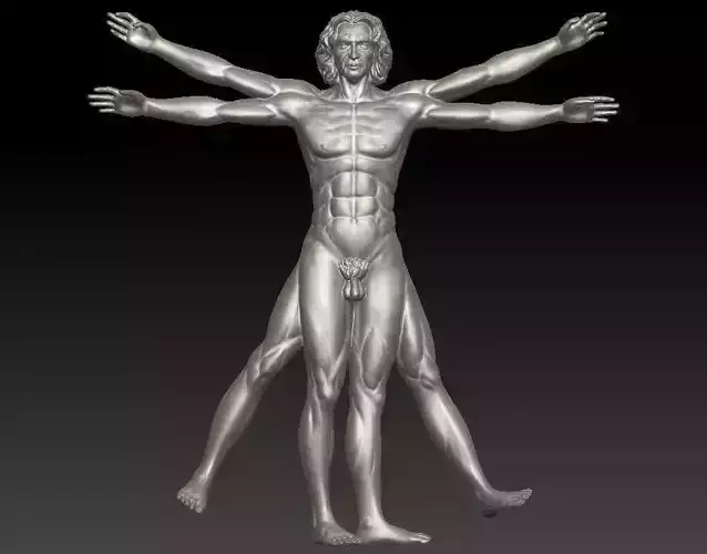 Vitruvian Man  High For 3D Printing 3D print model