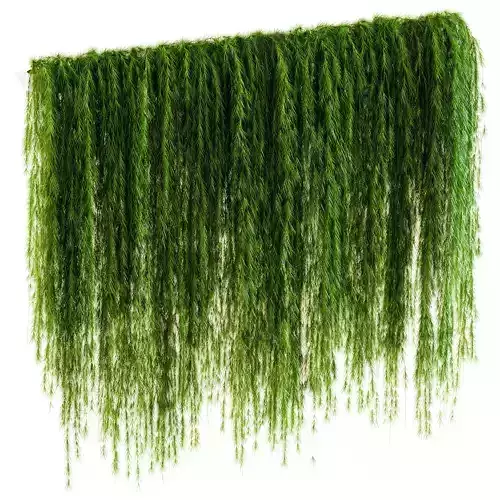 A wall of drooping plant branches 3D model