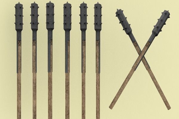 Detailed LowPoly Macil Low-poly 3D model_0