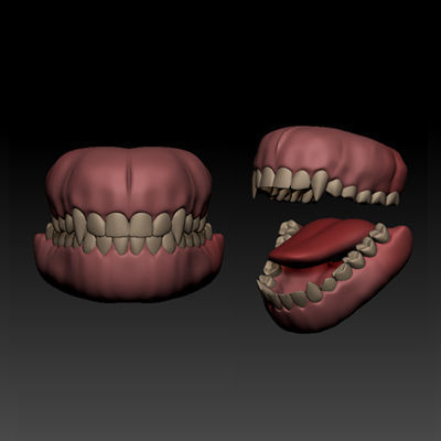 Aleysha - High Poly Z Tool 3D model_7