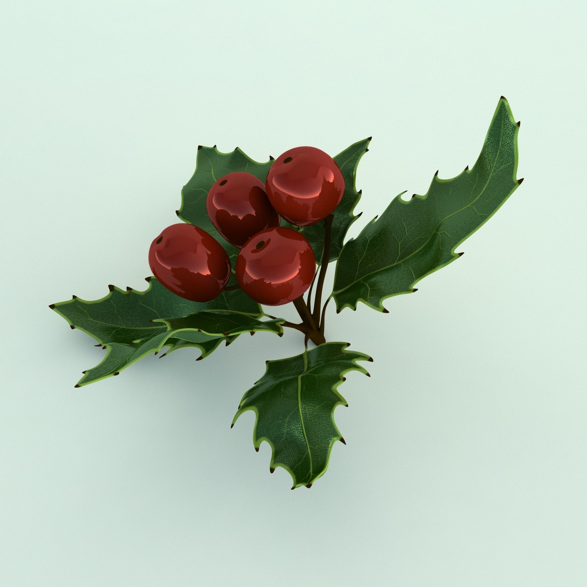 Mistletoe Sprig Holly 3D model_9