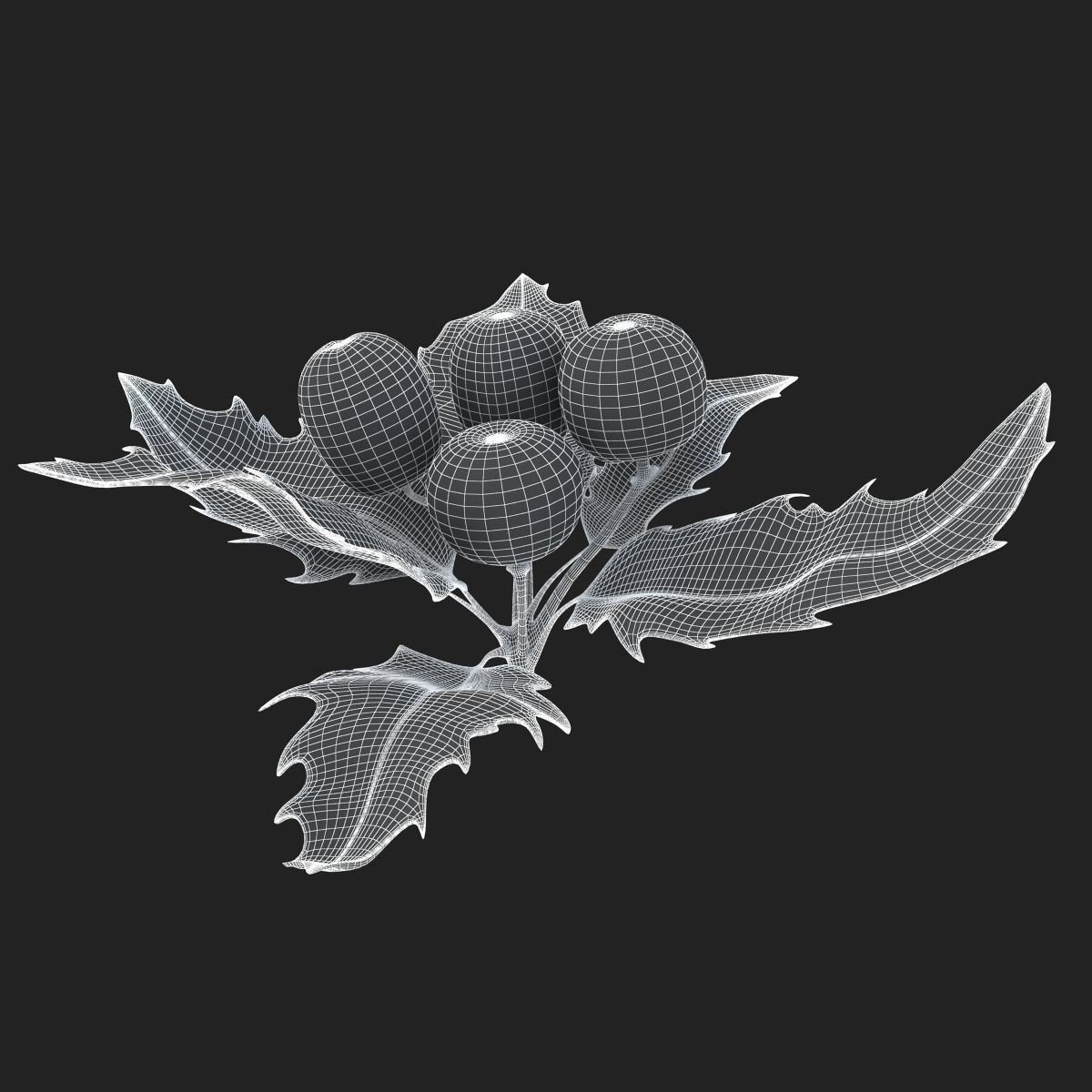 Mistletoe Sprig Holly 3D model_20
