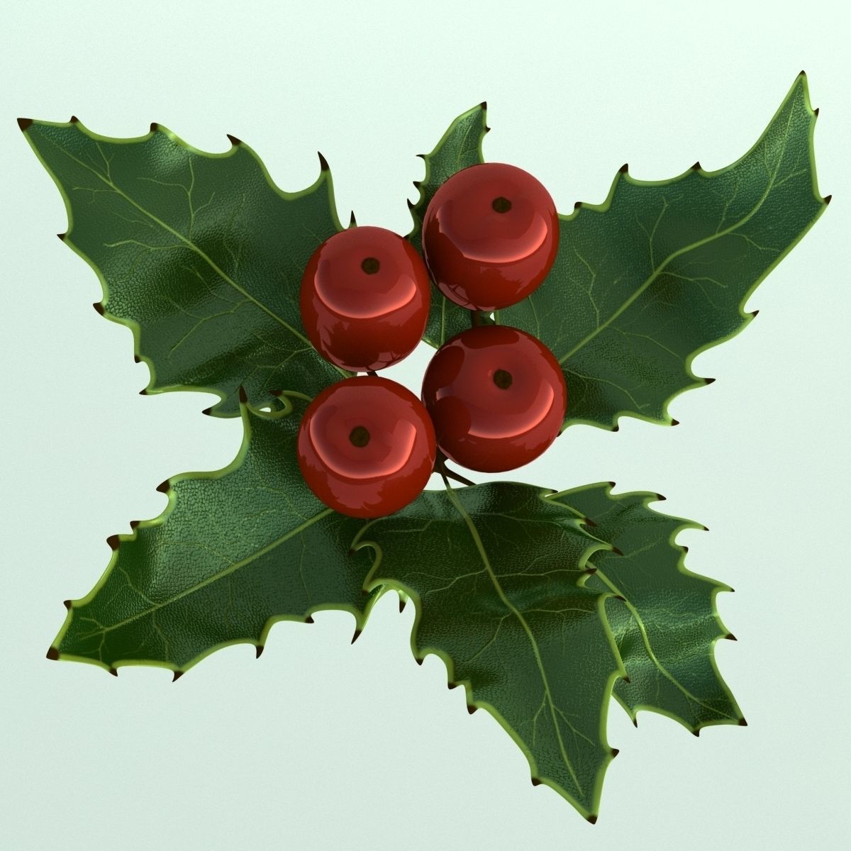 Mistletoe Sprig Holly 3D model_7