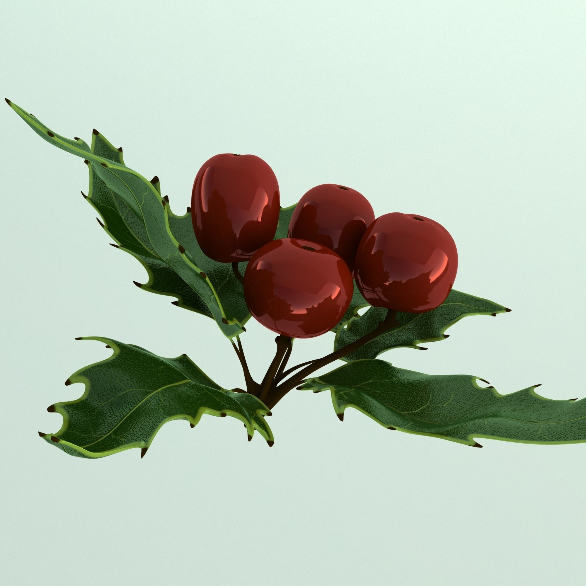 Mistletoe Sprig Holly 3D model_10