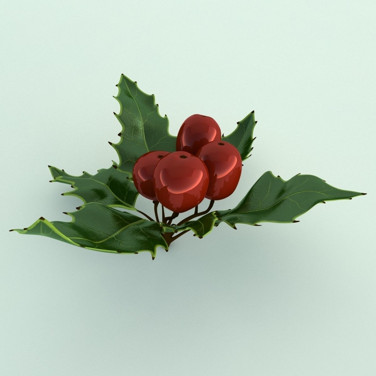 Mistletoe Sprig Holly 3D model_1