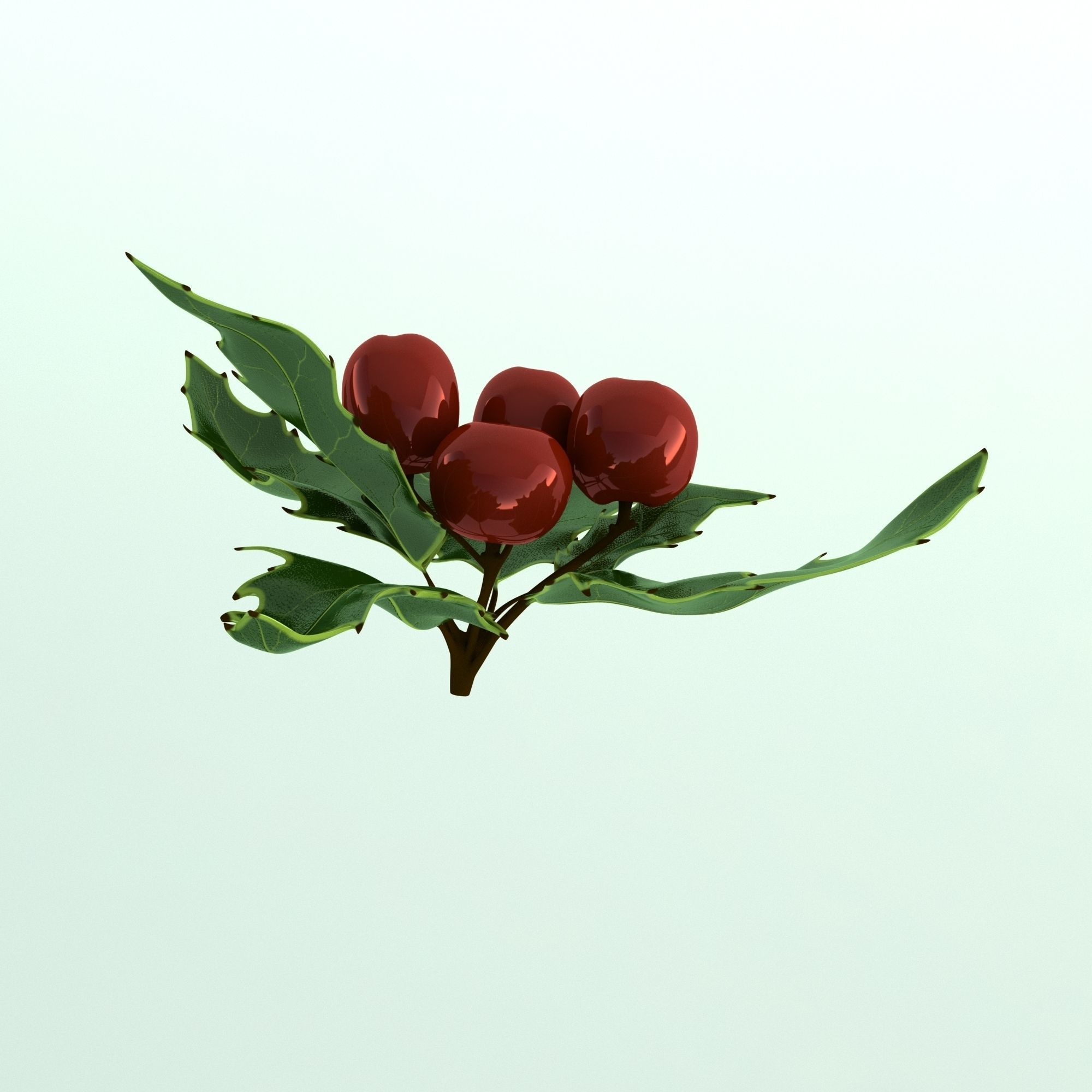 Mistletoe Sprig Holly 3D model_14