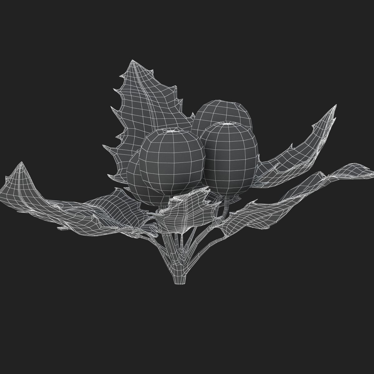 Mistletoe Sprig Holly 3D model_29