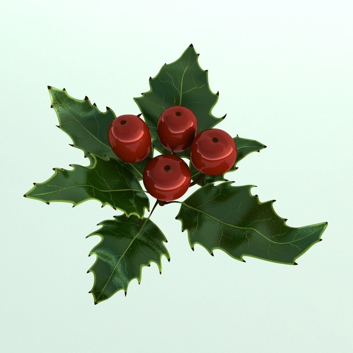 Mistletoe Sprig Holly 3D model_6