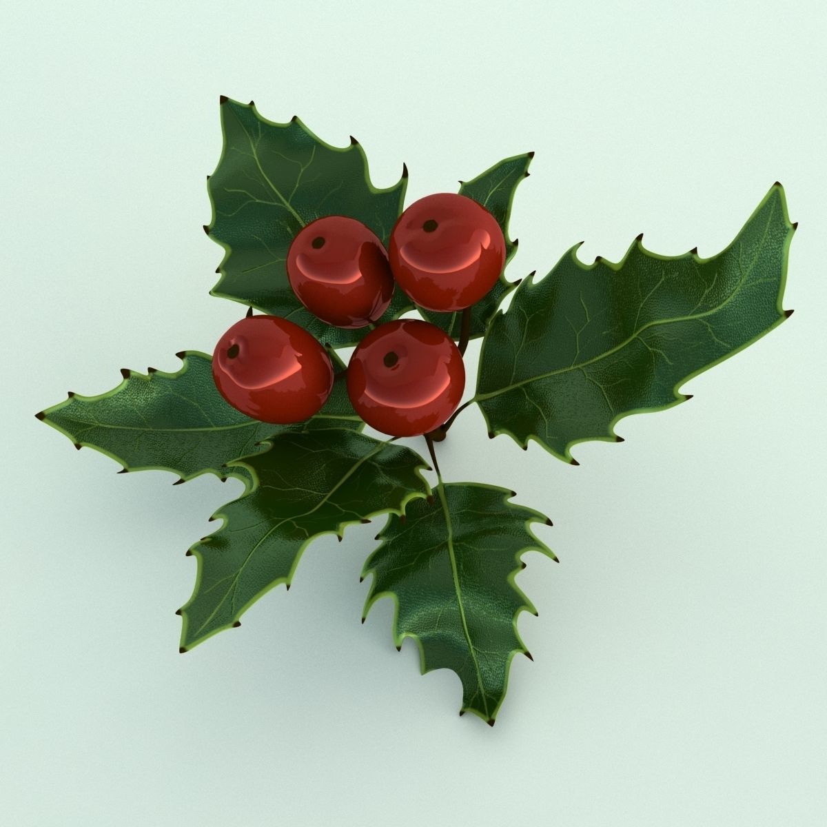 Mistletoe Sprig Holly 3D model_15