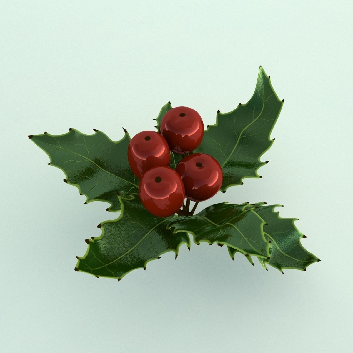 Mistletoe Sprig Holly 3D model_8