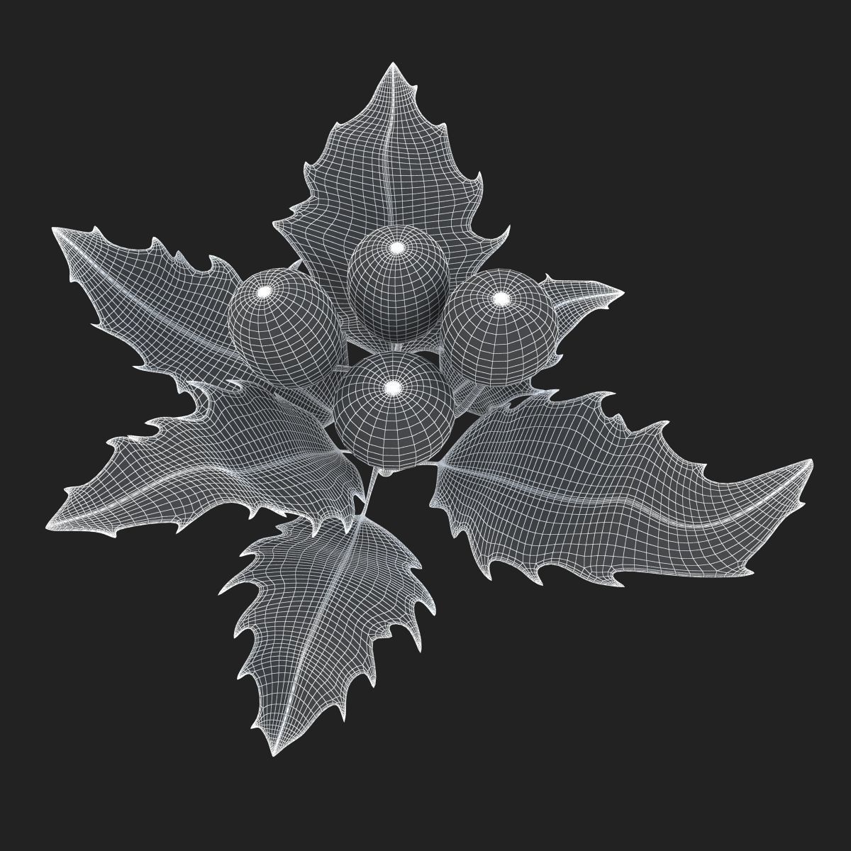 Mistletoe Sprig Holly 3D model_18