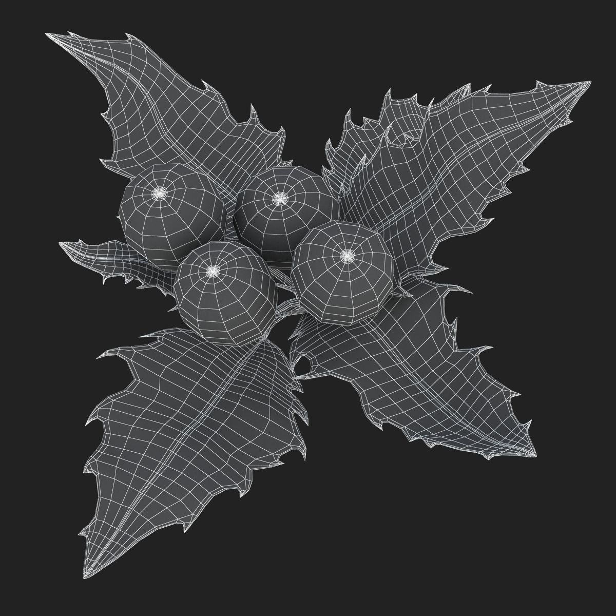 Mistletoe Sprig Holly 3D model_23