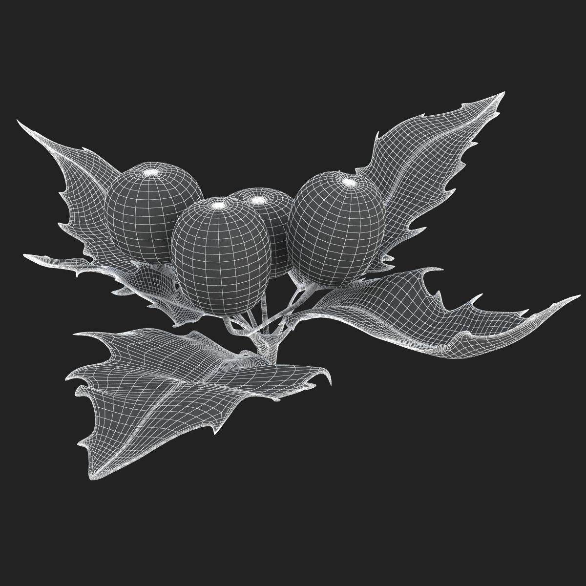 Mistletoe Sprig Holly 3D model_24