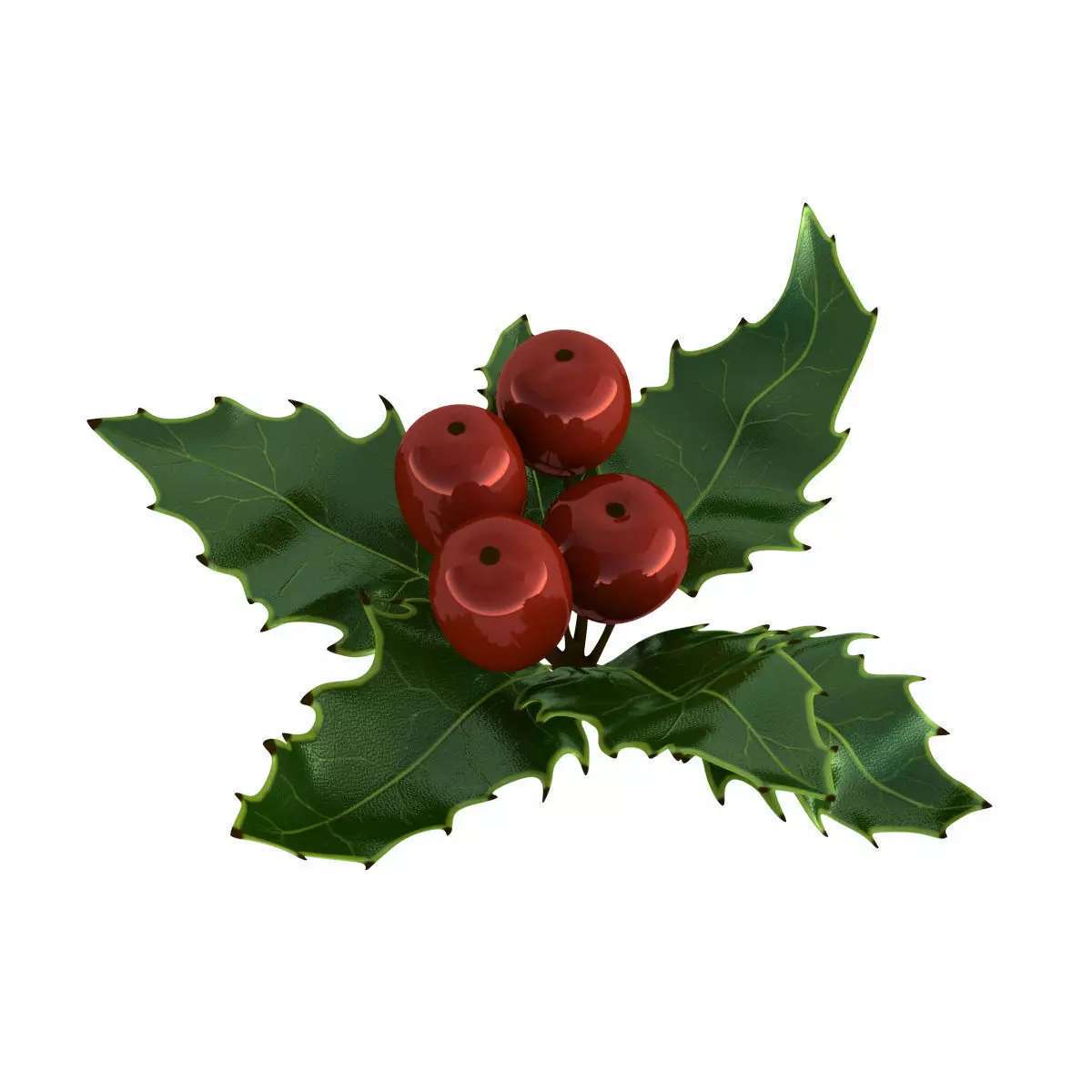 Mistletoe Sprig Holly 3D model_0