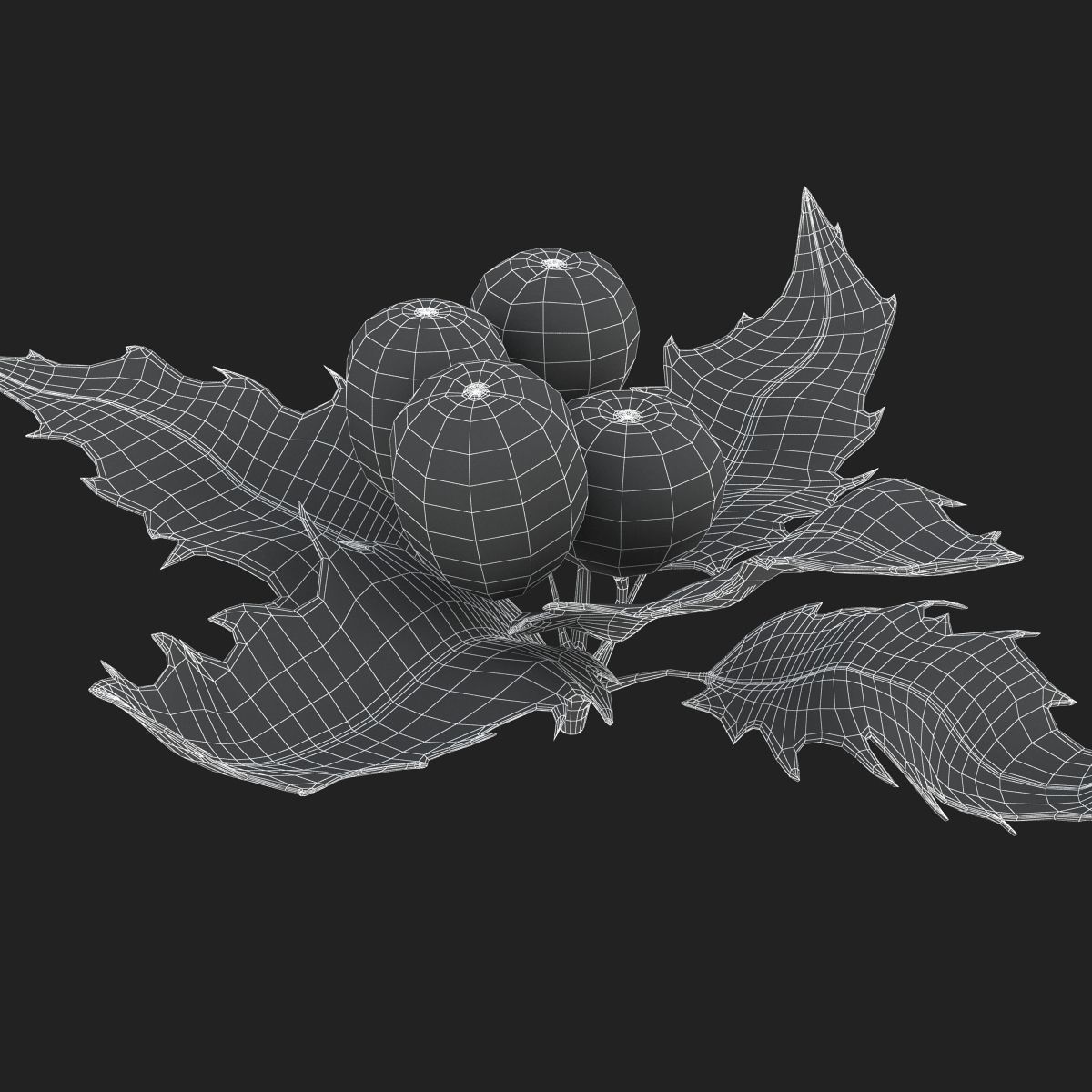 Mistletoe Sprig Holly 3D model_27