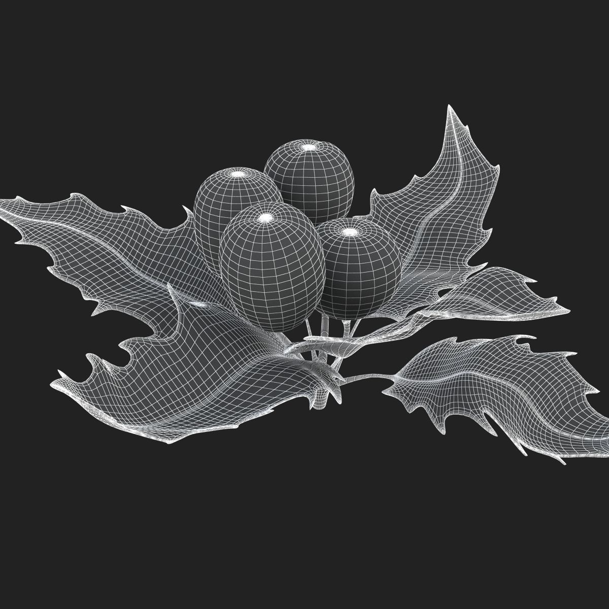Mistletoe Sprig Holly 3D model_26