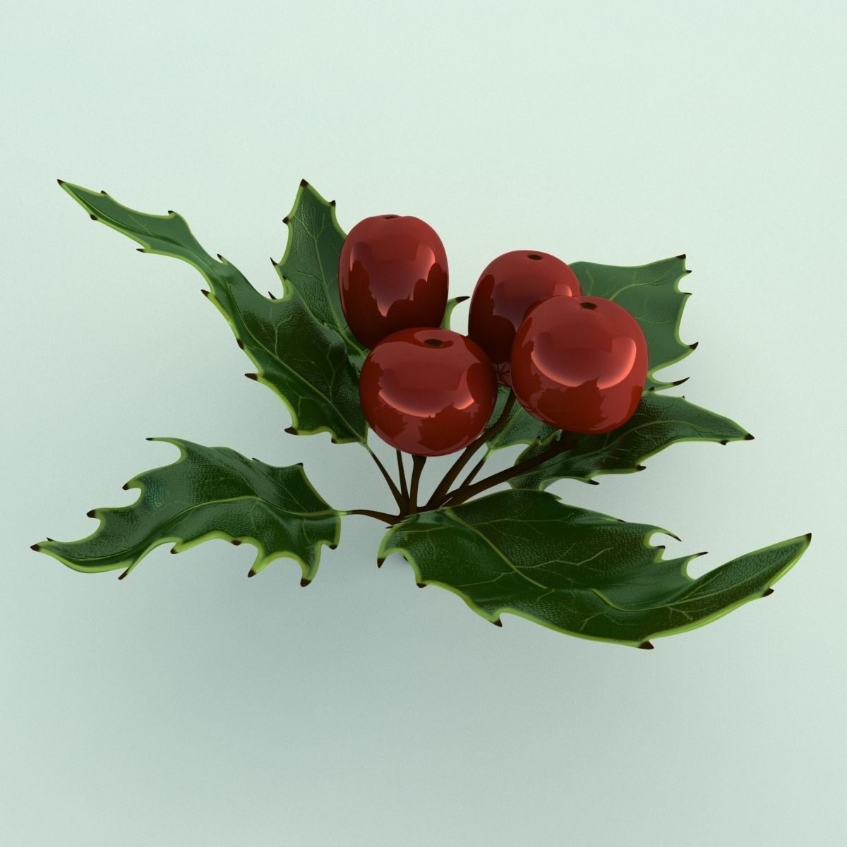 Mistletoe Sprig Holly 3D model_2