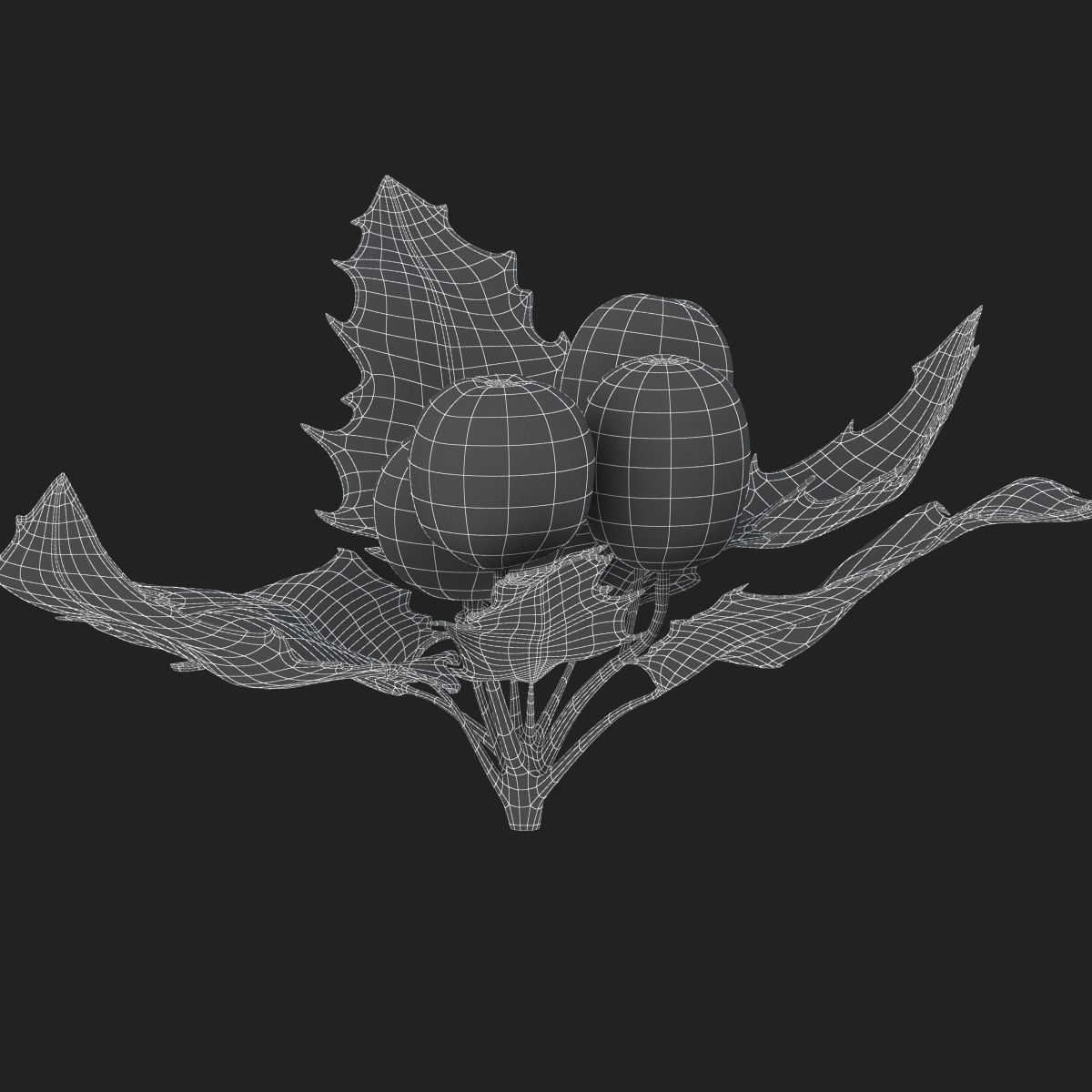 Mistletoe Sprig Holly 3D model_31