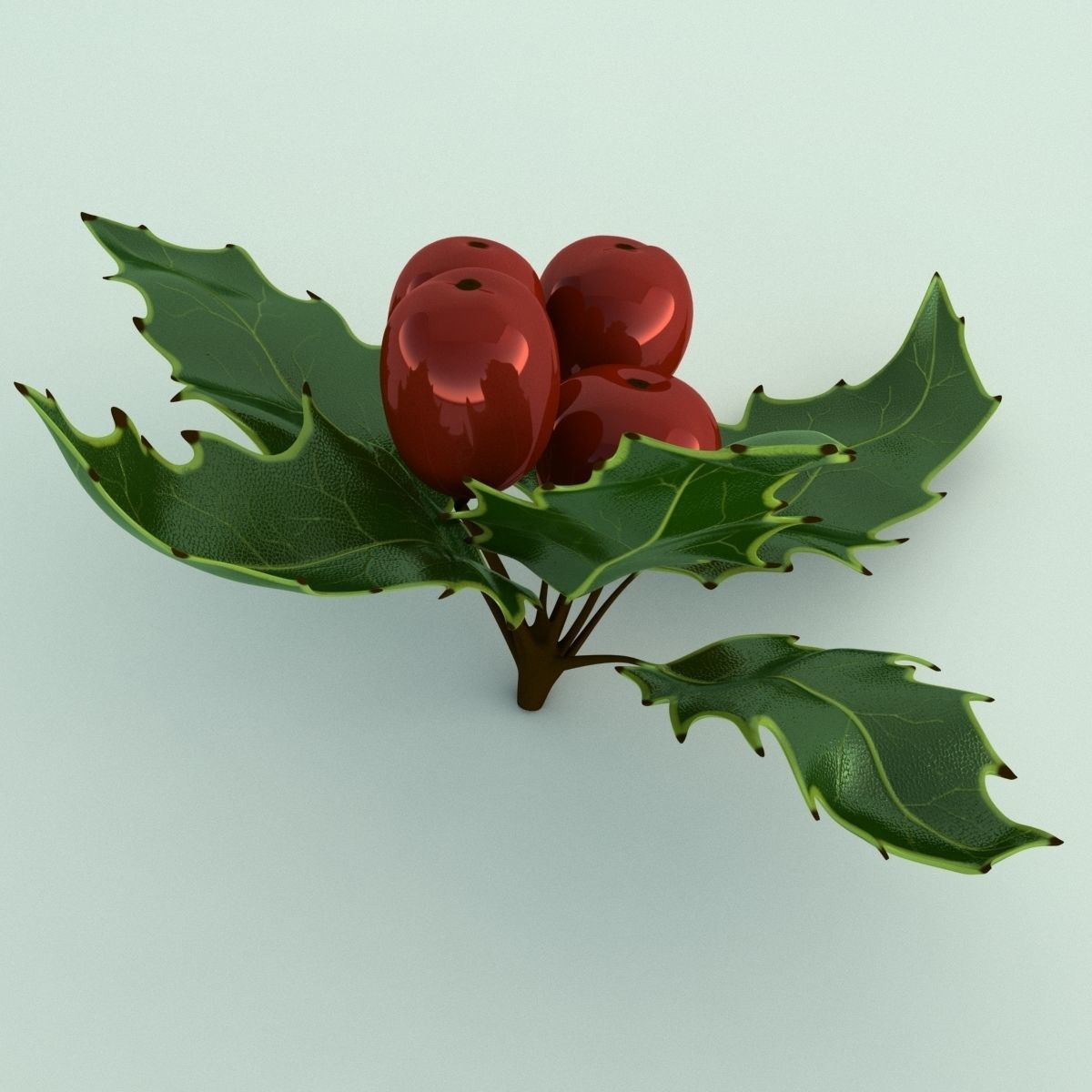 Mistletoe Sprig Holly 3D model_3