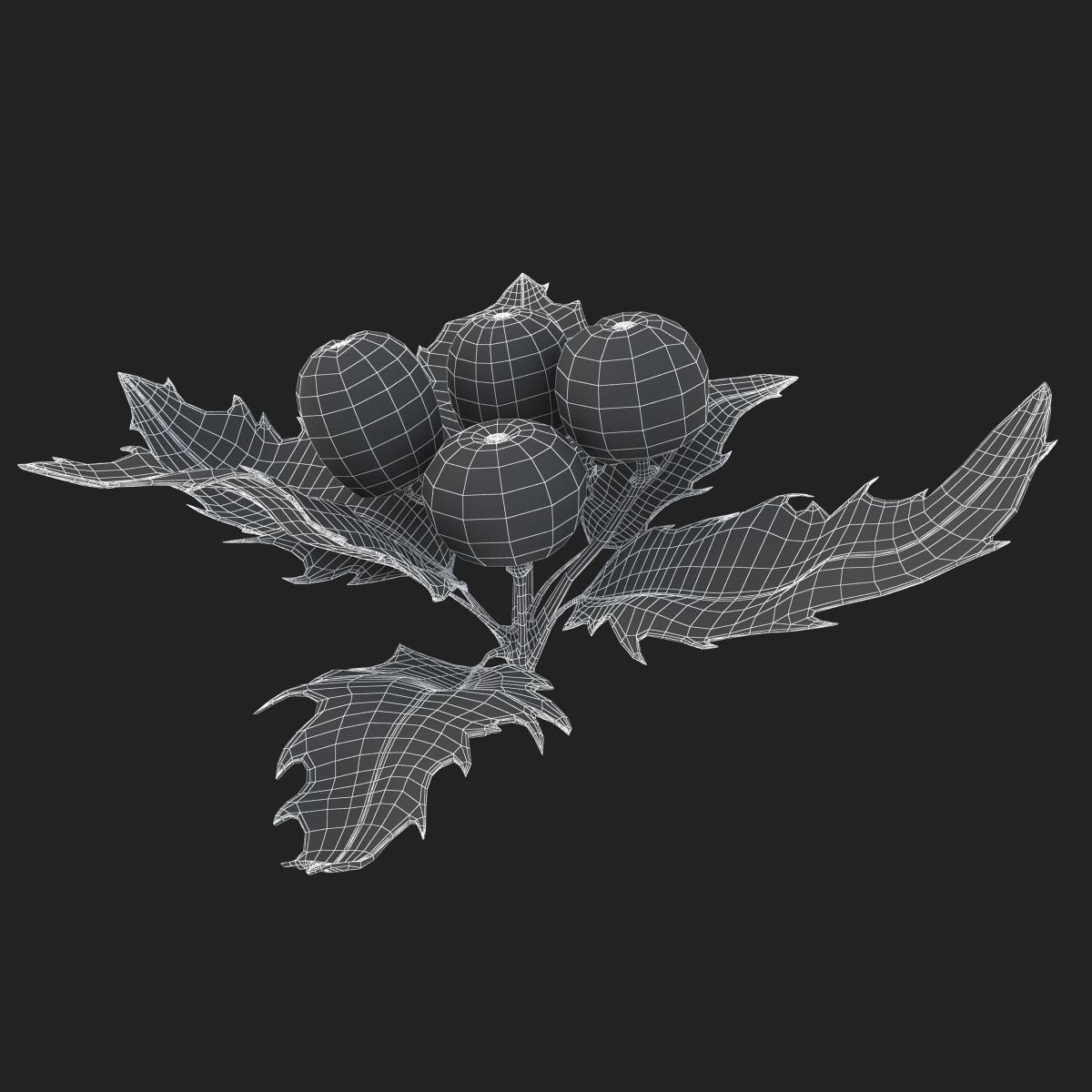 Mistletoe Sprig Holly 3D model_22
