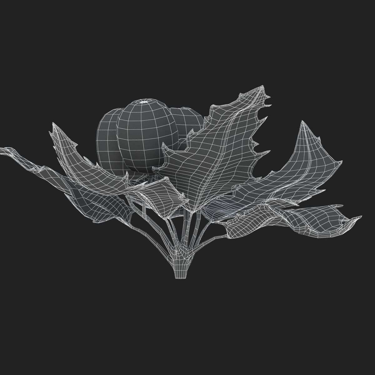 Mistletoe Sprig Holly 3D model_30