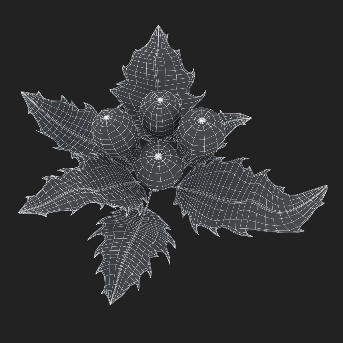 Mistletoe Sprig Holly 3D model_19