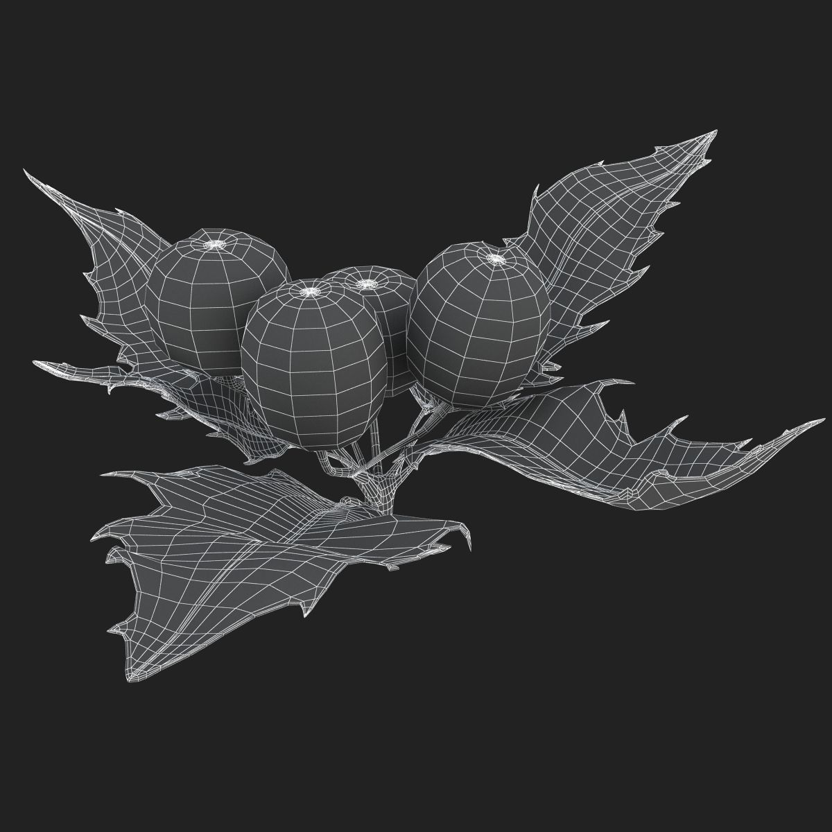 Mistletoe Sprig Holly 3D model_21