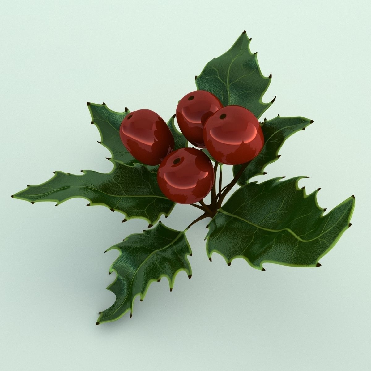 Mistletoe Sprig Holly 3D model_11