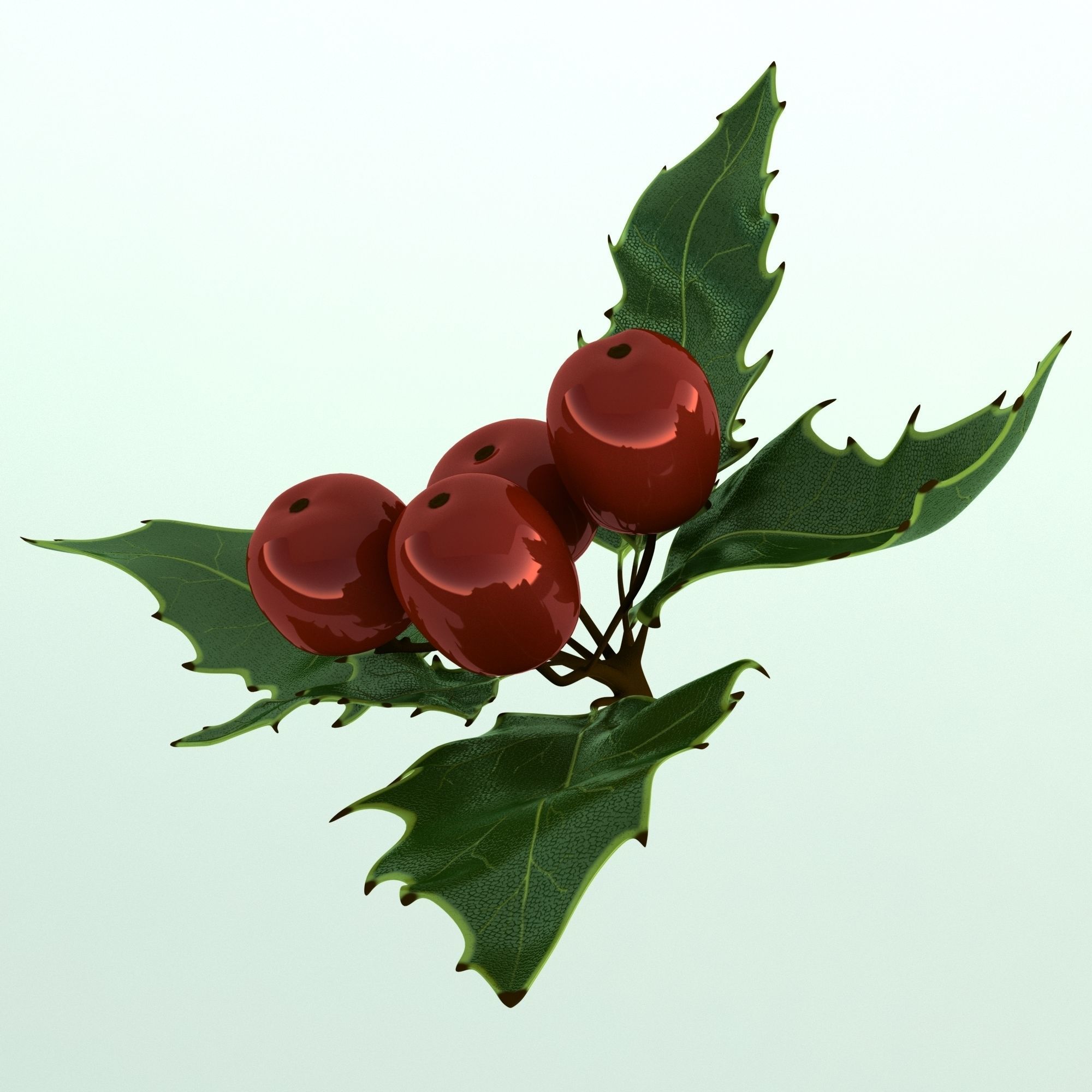 Mistletoe Sprig Holly 3D model_12