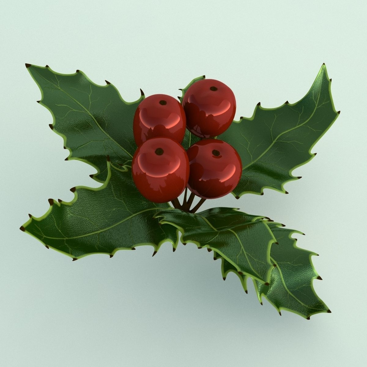 Mistletoe Sprig Holly 3D model_5
