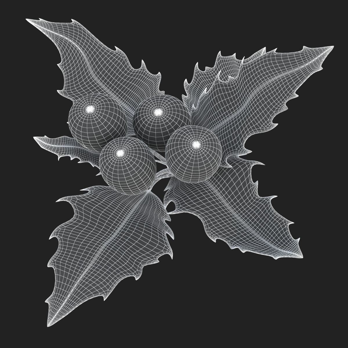 Mistletoe Sprig Holly 3D model_25