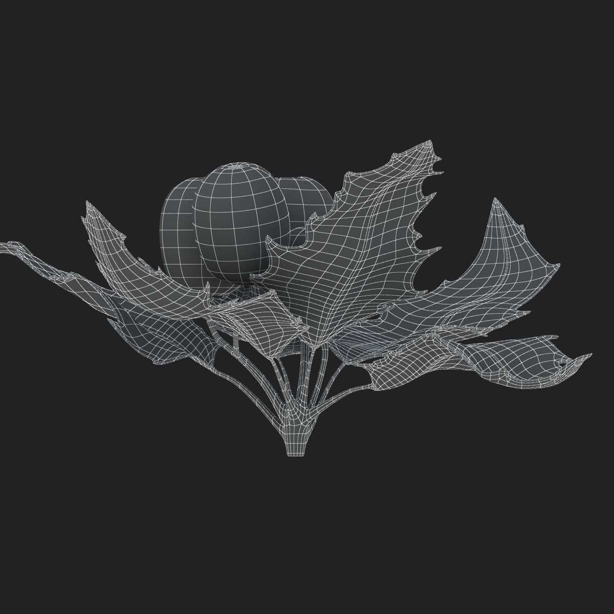 Mistletoe Sprig Holly 3D model_28