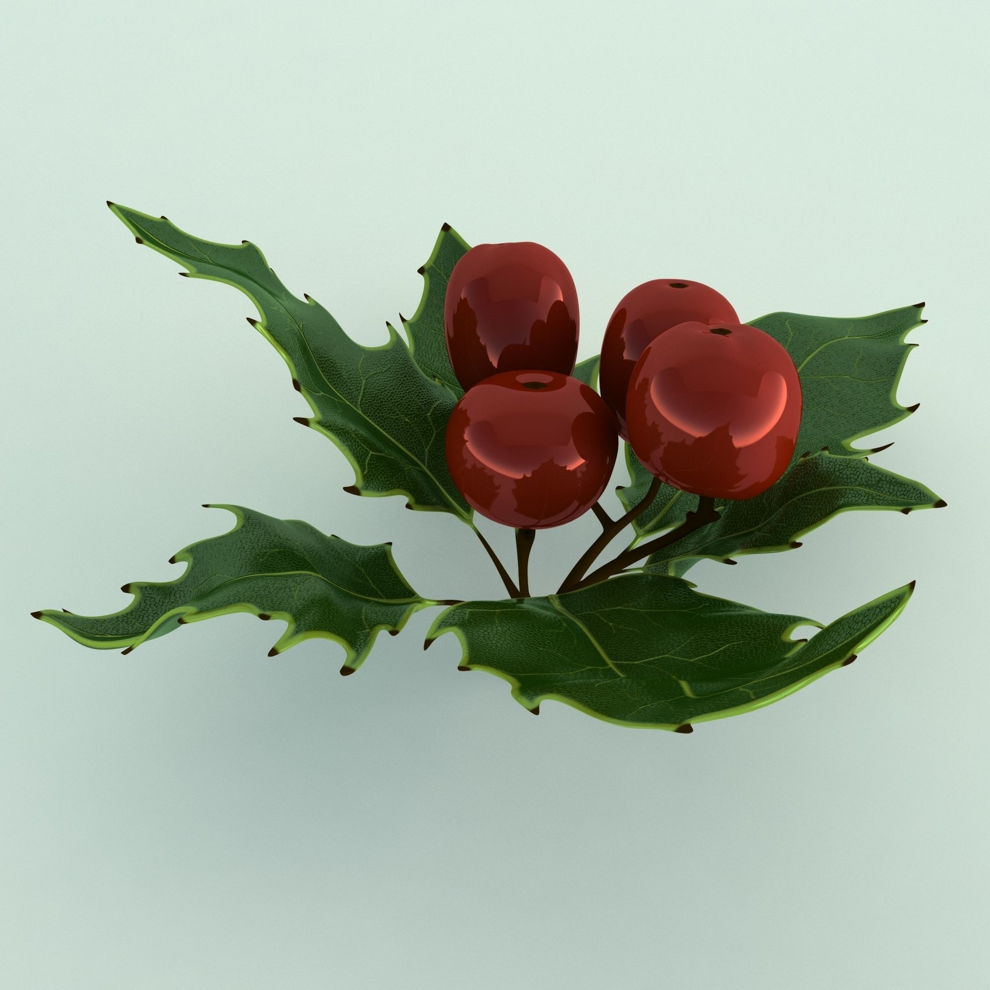 Mistletoe Sprig Holly 3D model_17