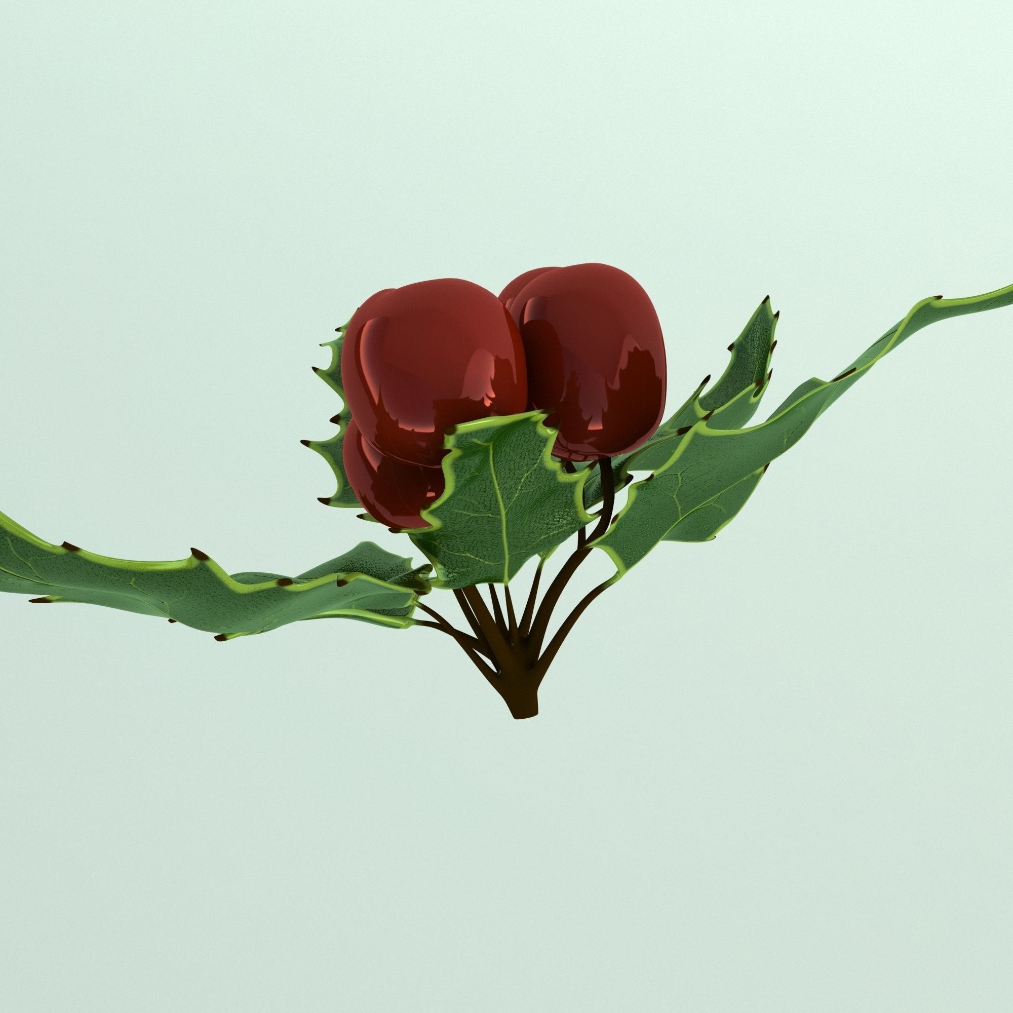 Mistletoe Sprig Holly 3D model_16