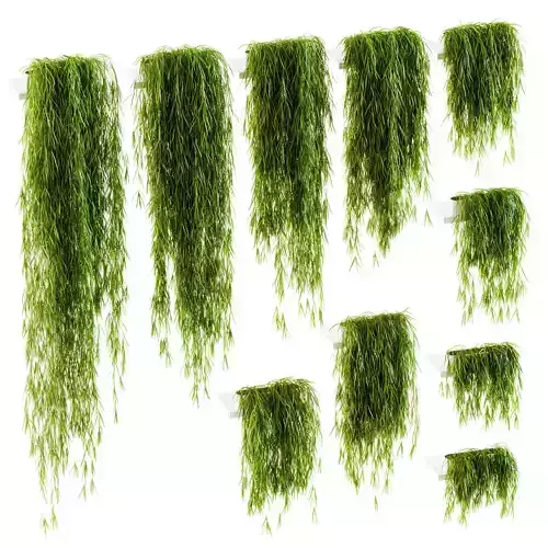 Hanging plants for shelves 10 models 3D model