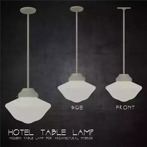 Ceiling hung pendant light architectural interior scene lighting Low-poly 3D model