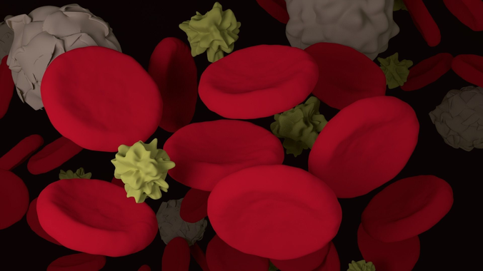 Blood Cells