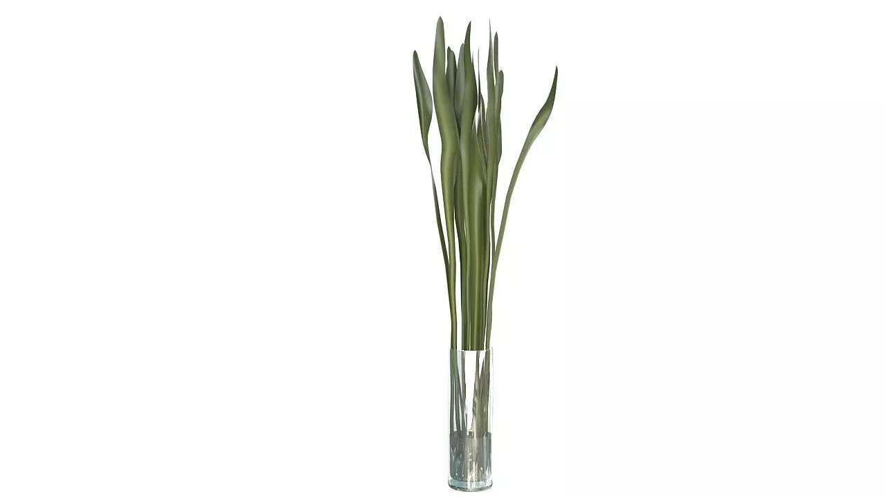 Tropical leaves glass vase 3D model_0