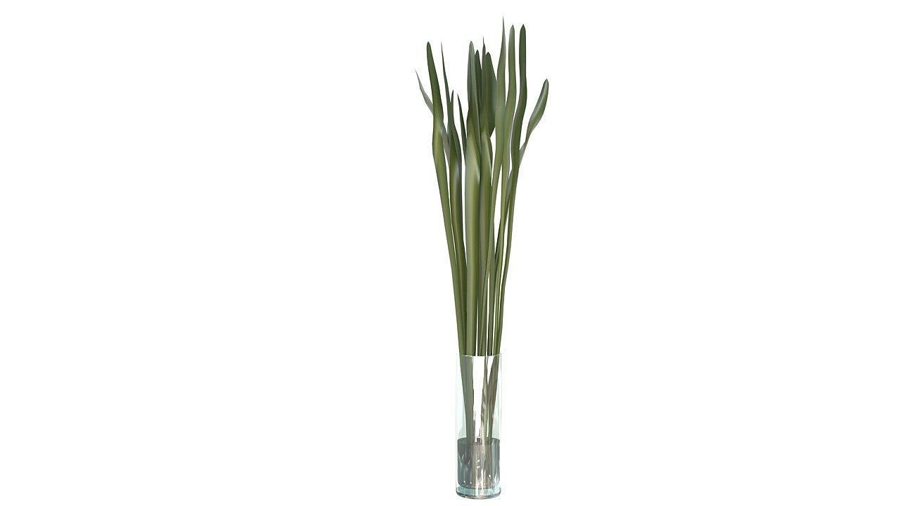 Tropical leaves glass vase 3D model_3