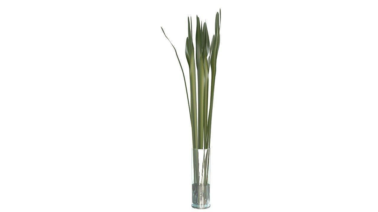 Tropical leaves glass vase 3D model_4