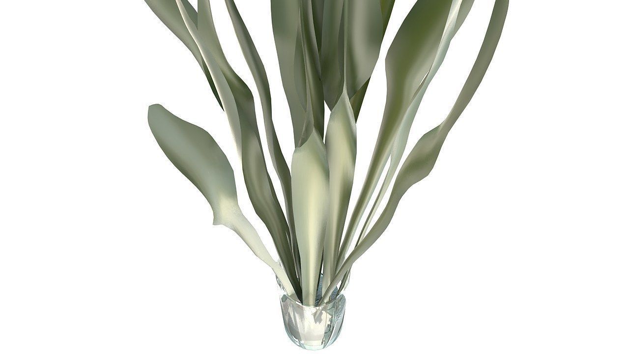 Tropical leaves glass vase 3D model_11