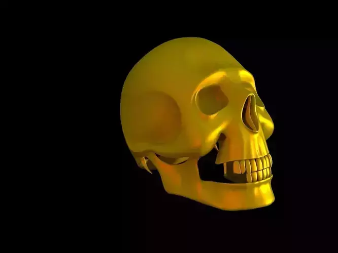 Skull golden - gold