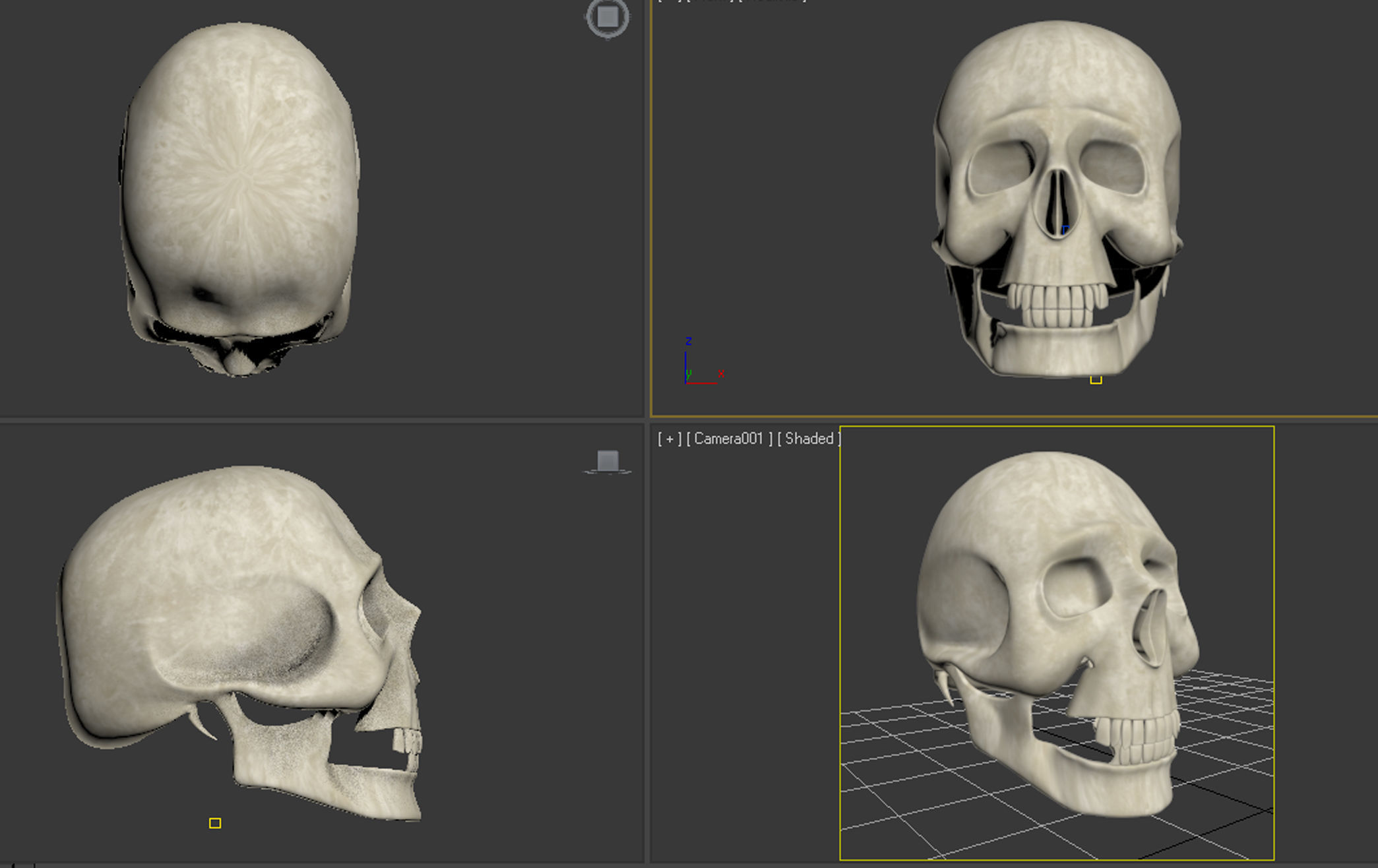Skull golden - gold Free 3D print model_1