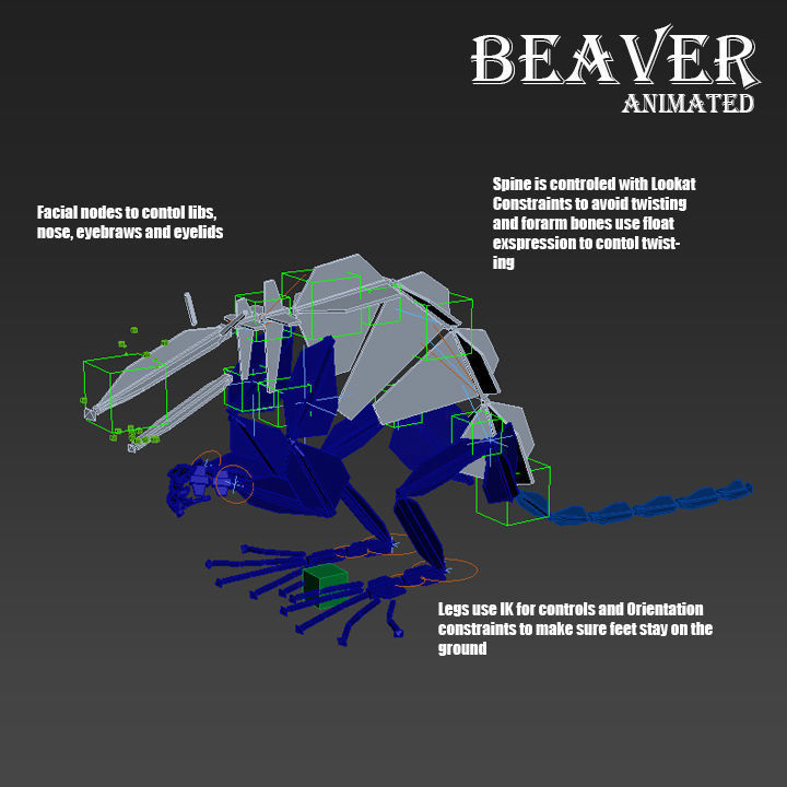 Beaver Animated Low-poly 3D model_8