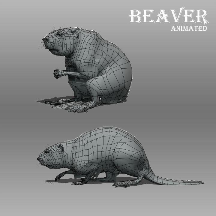 Beaver Animated Low-poly 3D model_7