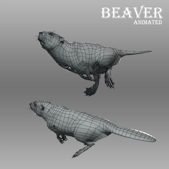 Beaver Animated Low-poly 3D model_6